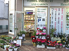 花かご 和白丘店の写真