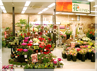 IvＹ Flowers 庄内通店の写真