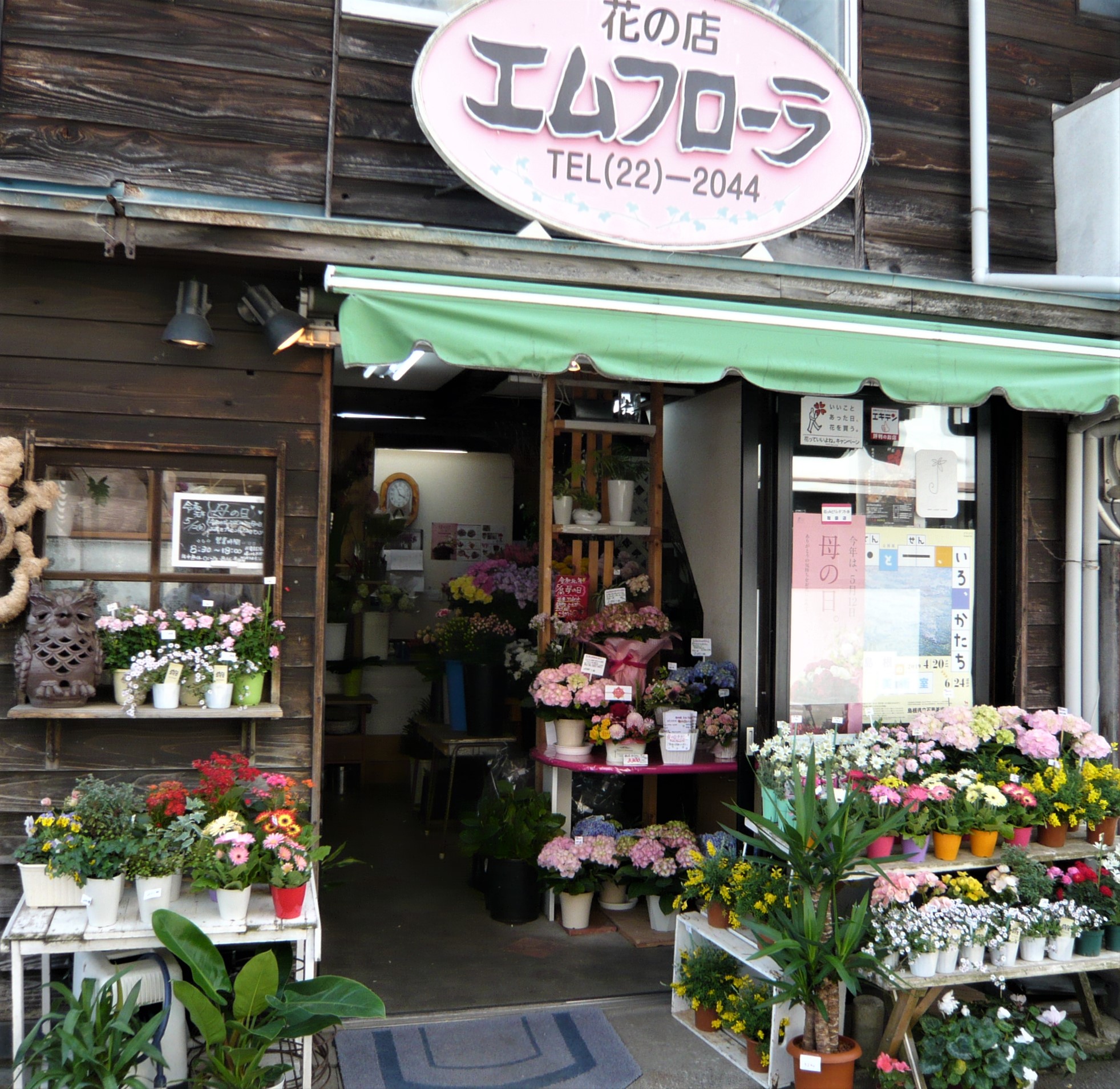 花の店　エムフローラの写真