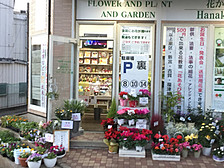 花かご　和白丘店の写真