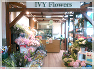 IvY Flowers 新舞子店の写真