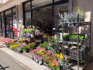 花と緑の店　ポピーの写真