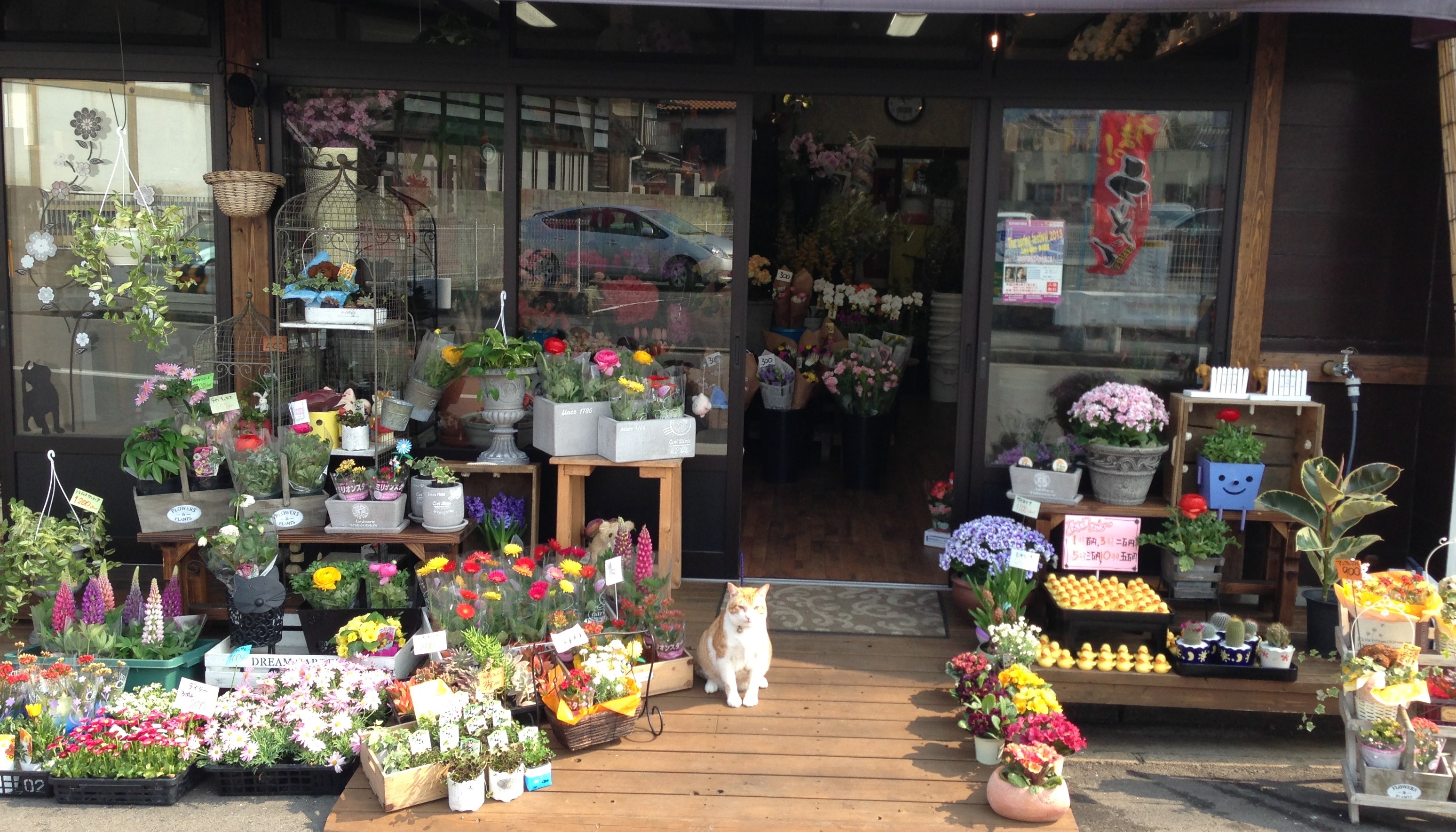 HANA坂本 若松店の写真