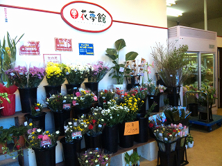 花夢館　江南店の写真