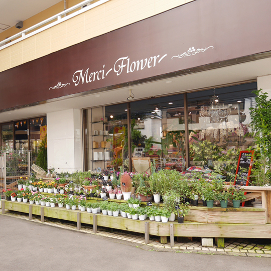 メルシーフラワー 散田店 Jfn ジャパン フラワーネットワーク メルシーフラワー 散田店 Jfn ジャパン フラワーネットワーク