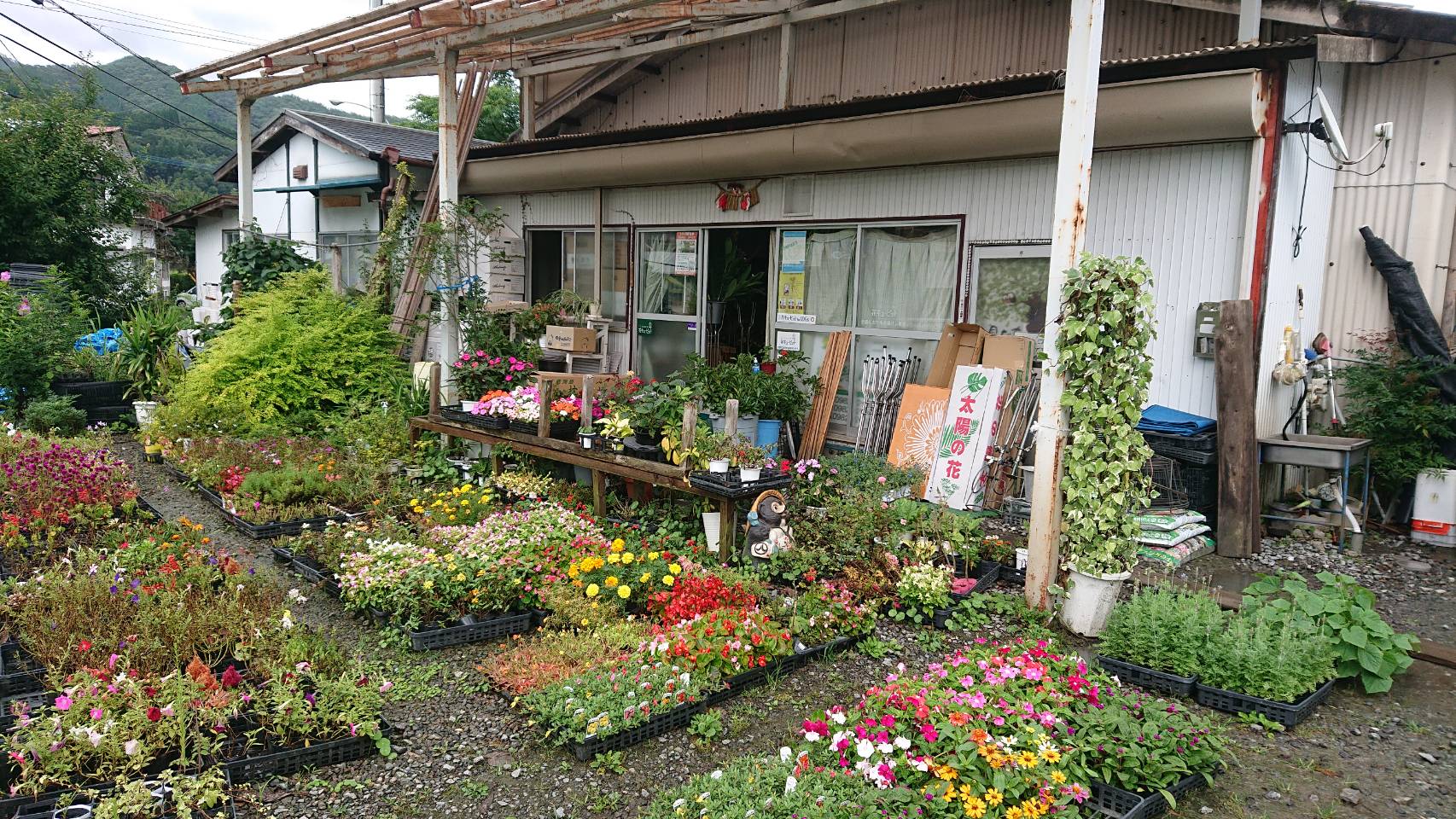 花の店　緑心苑の写真