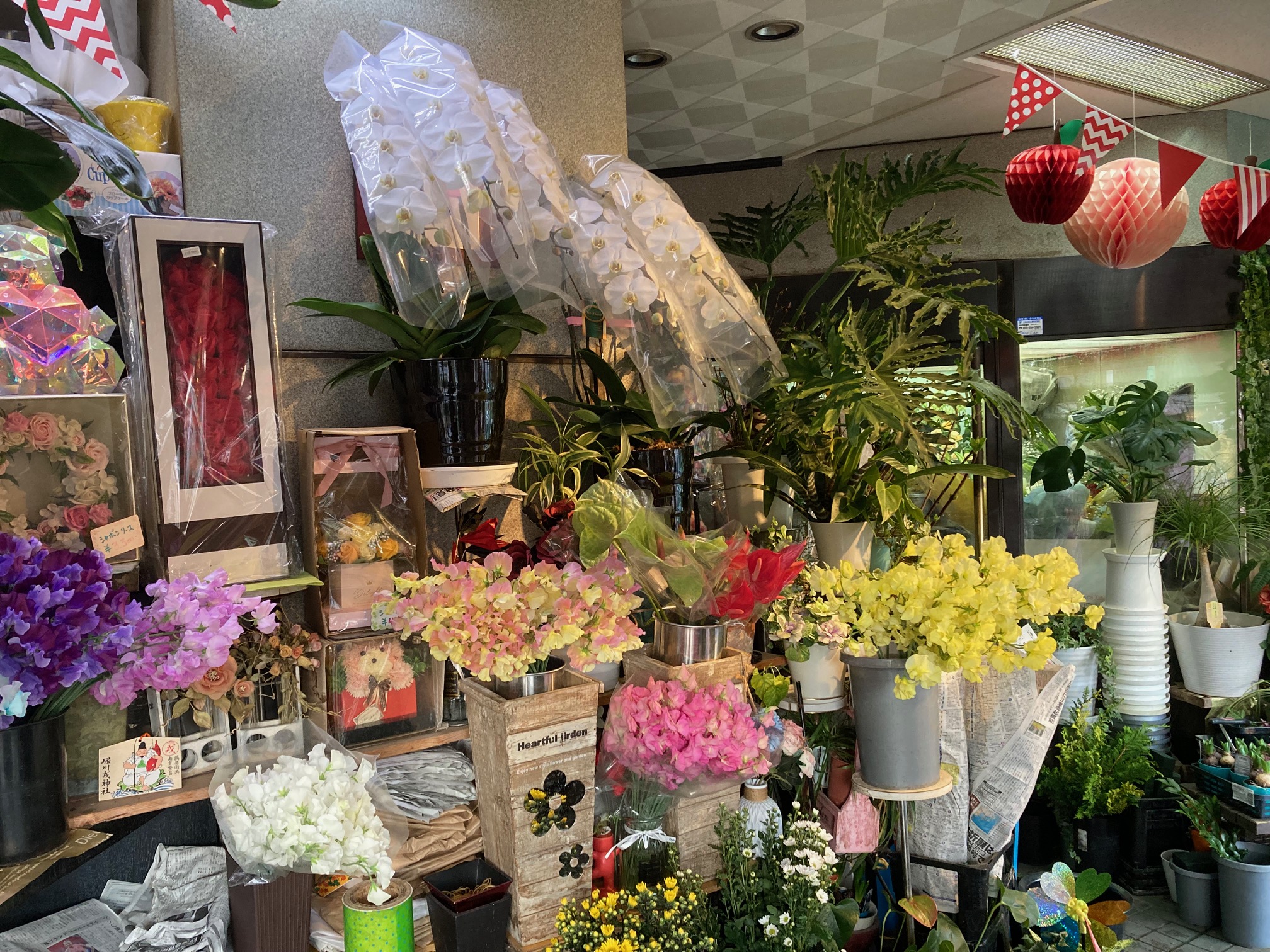 星野生花店の写真