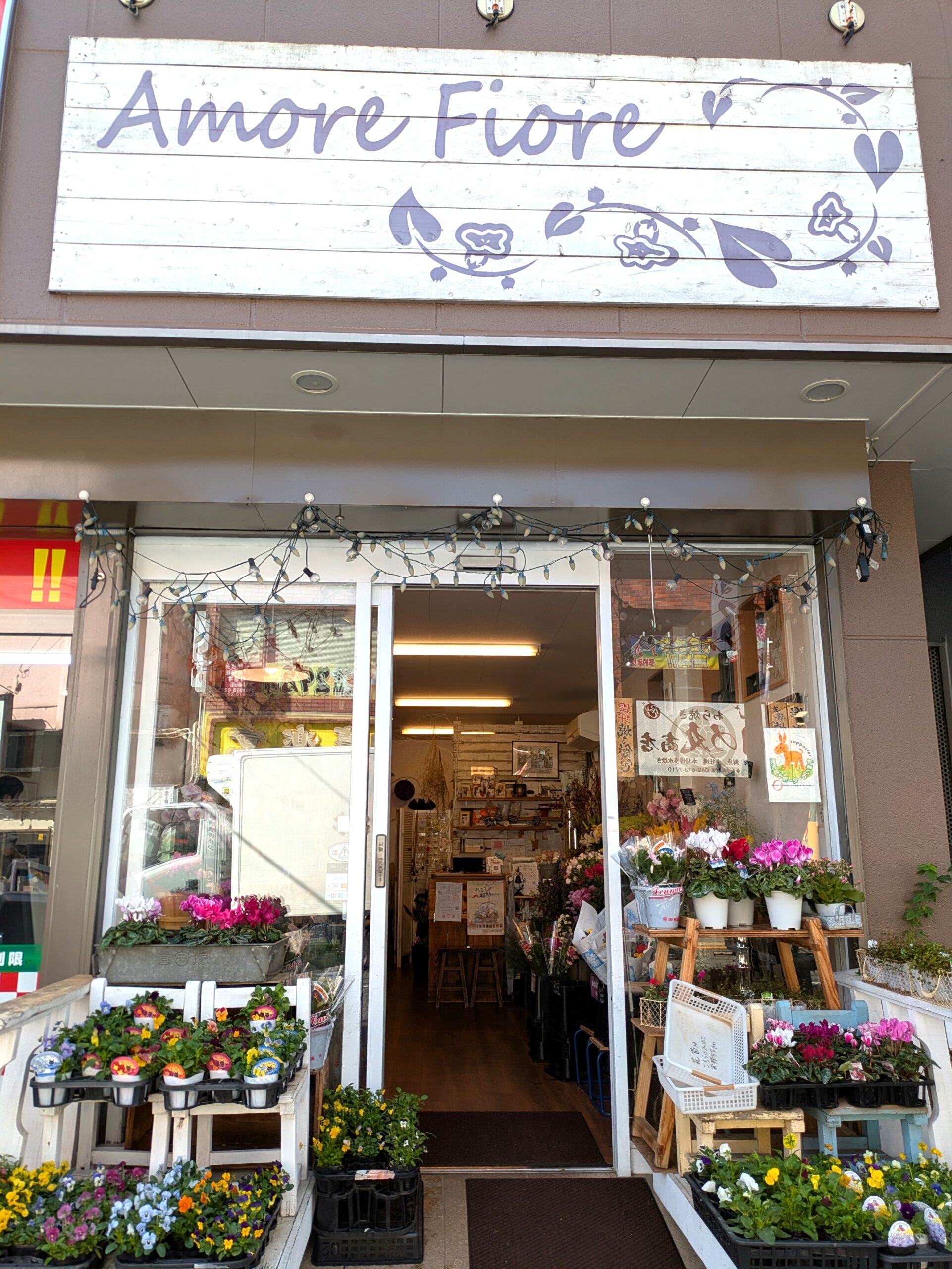 アモーレ フィオーレの写真