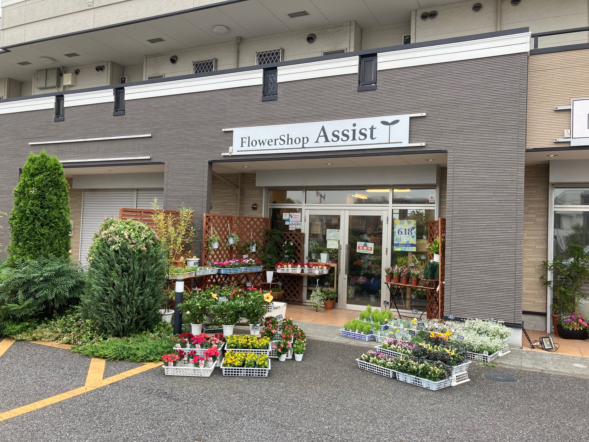 Ｆｌｏｗｅｒ Ｓｈｏｐ Ａｓｓｉｓｔの写真