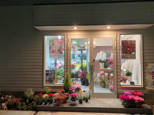 鈴木生花の写真