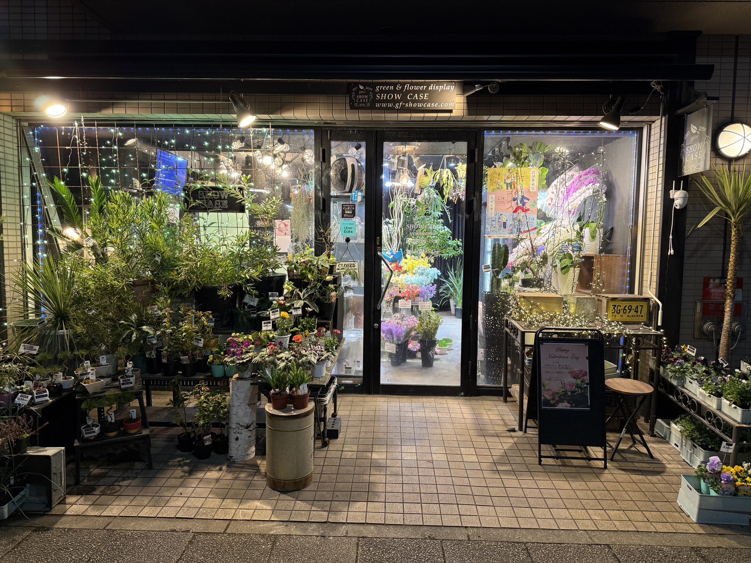 ショーケースの写真