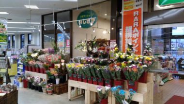 フラワーショップいしざか 八雲店の写真