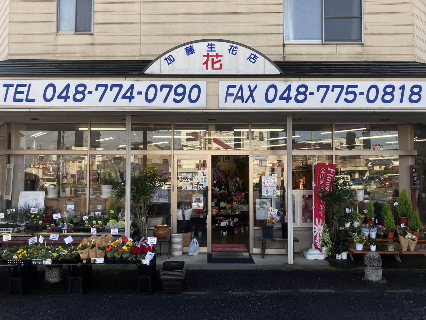加藤生花店の写真